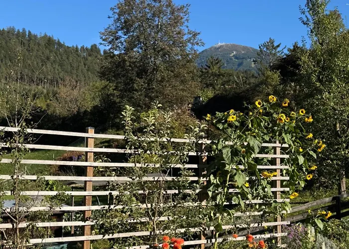 Haus Kosie Feriehus *